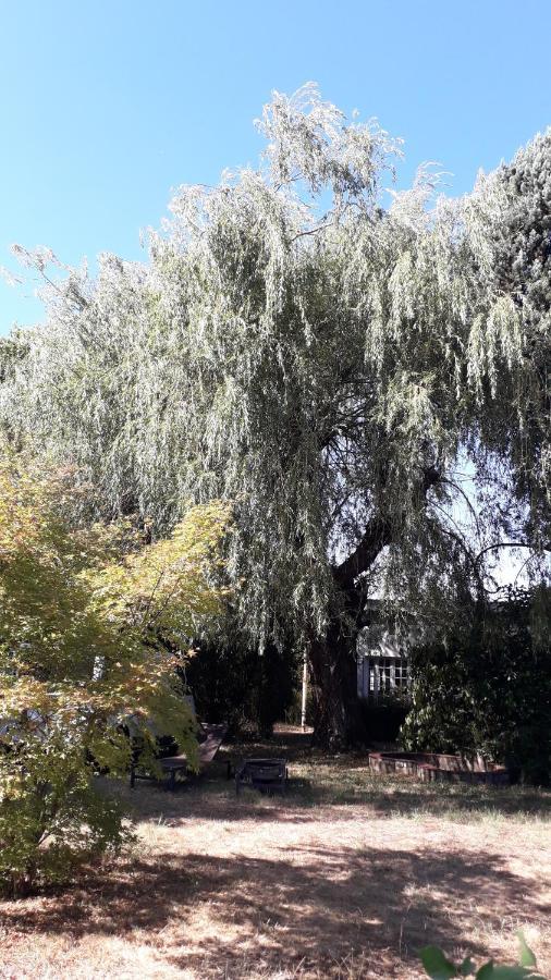L' Abri Du Saule *